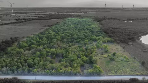 295 Hcr 3240, Mount Calm, TX 76673