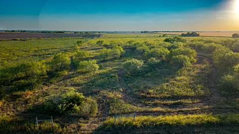 0000 Fm 984, Avalon, TX 76623