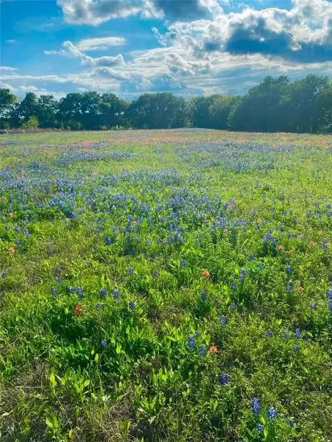 tbd Kirkland Hill Rd, Axtell, TX 76624