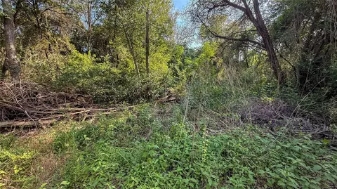 2168 Patrick Xing, Waco, TX 76708 photo 18