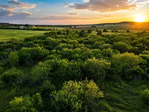 1448 County Road 129, Rising Star, TX 76471