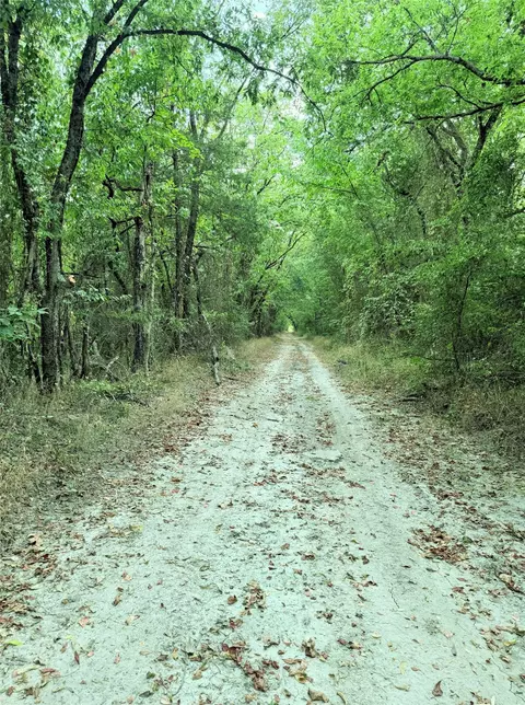 6343 County Road 4727, Wolfe City, TX 75496
