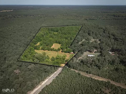 0 Rocky Mount Rd, Plain Dealing, LA 71064 photo 6