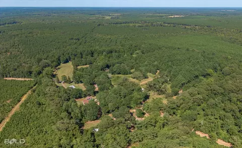 0 Rocky Mount Rd, Plain Dealing, LA 71064 photo 6