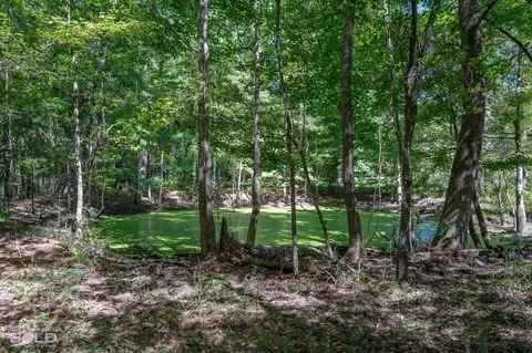 0 Rocky Mount Rd, Plain Dealing, LA 71064 photo 10