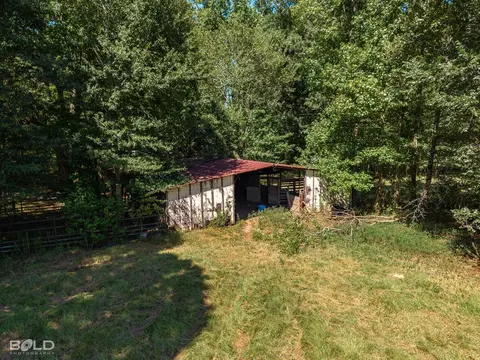 0 Rocky Mount Rd, Plain Dealing, LA 71064 photo 11