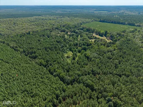 0 Rocky Mount Rd, Plain Dealing, LA 71064 photo 14