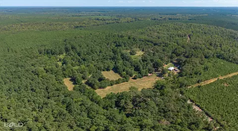 0 Rocky Mount Rd, Plain Dealing, LA 71064 photo 8