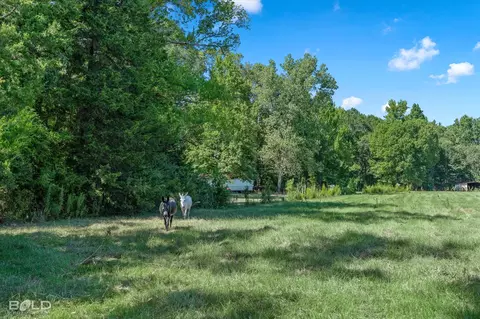 0 Rocky Mount Rd, Plain Dealing, LA 71064 photo 5