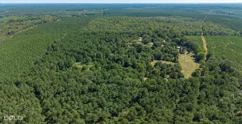 0 Rocky Mount Rd, Plain Dealing, LA 71064 photo 9