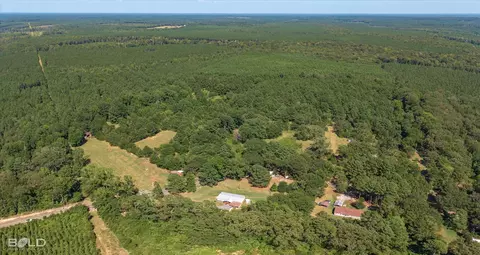 0 Rocky Mount Rd, Plain Dealing, LA 71064 photo 7