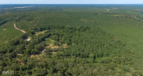 0 Rocky Mount Rd, Plain Dealing, LA 71064 photo 16