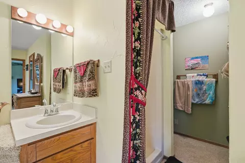 Bath - 6146 County Road 334, Tyler, TX 75708 photo 3 of 4