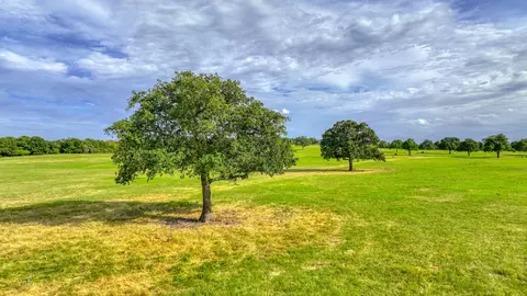 Tract 1 Three Quarter Loop, Poolville, TX 76487 photo 15