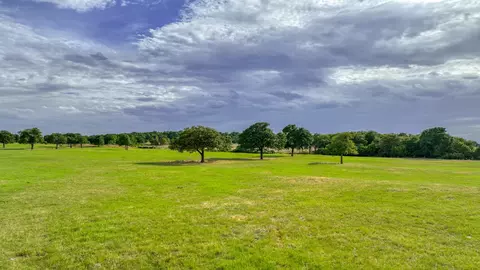 Tract 1 Three Quarter Loop, Poolville, TX 76487 photo 16