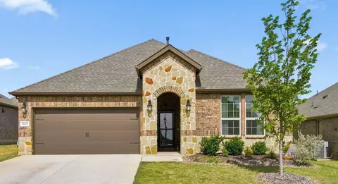 11217 Shady Meadows Way, Aubrey, TX 76227