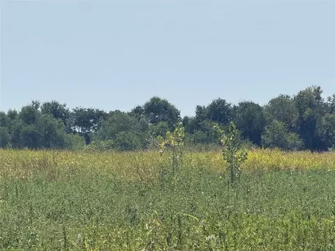 3828 Fm 272, Celeste, TX 75423 photo 6