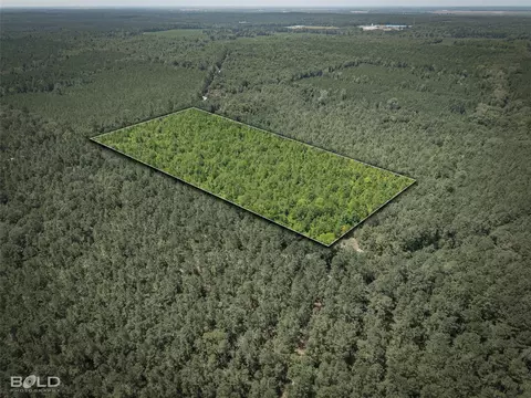 0 Abe Martin Rd, Plain Dealing, LA 71064 photo 3