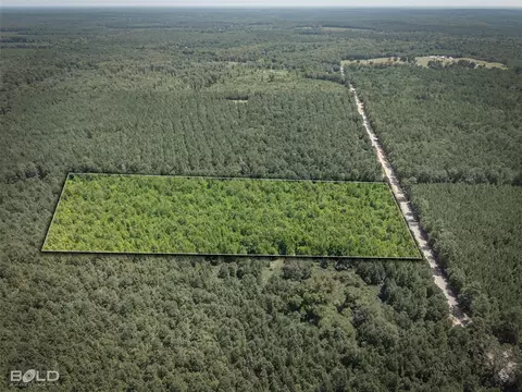 0 Abe Martin Rd, Plain Dealing, LA 71064 photo 4
