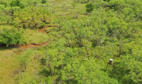 tbd Fm 2321-tract 1, Bellevue, TX 76228