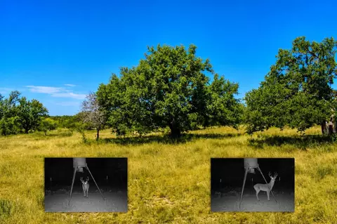 129 Big Buck Run Rd, No City, TX 76841