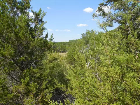 tbd E Loop 254, Ranger, TX 76470 photo 19