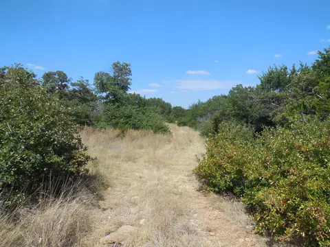 tbd E Loop 254, Ranger, TX 76470 photo 21