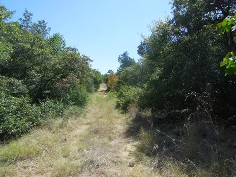 tbd E Loop 254, Ranger, TX 76470 photo 4