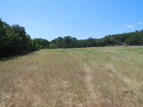 tbd E Loop 254, Ranger, TX 76470 photo 8
