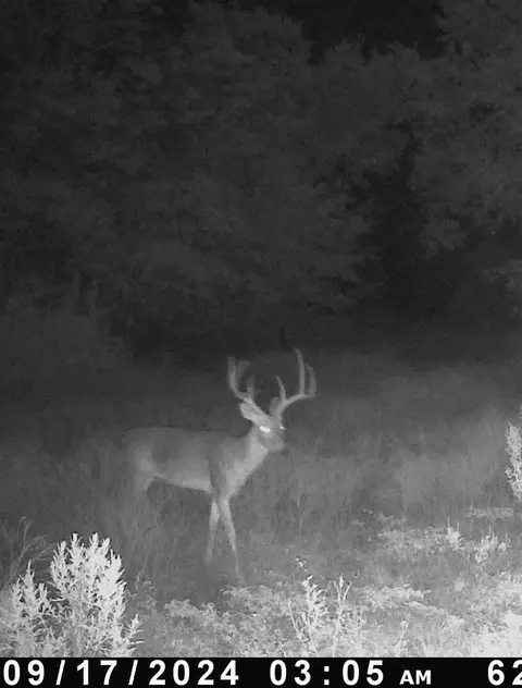 tbd E Loop 254, Ranger, TX 76470 photo 4