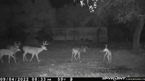 tbd E Loop 254, Ranger, TX 76470 photo 3