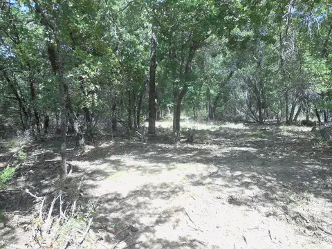 tbd E Loop 254, Ranger, TX 76470 photo 15