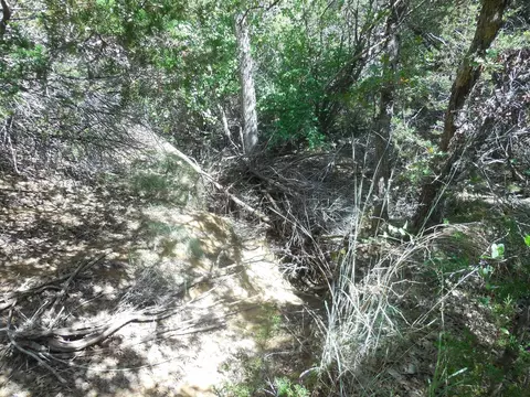 tbd E Loop 254, Ranger, TX 76470 photo 17