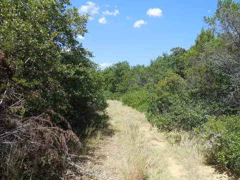 tbd E Loop 254, Ranger, TX 76470 photo 3