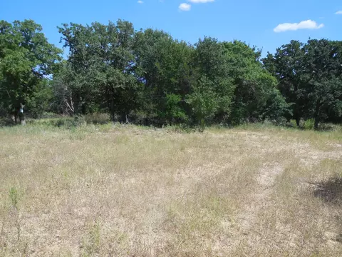 tbd E Loop 254, Ranger, TX 76470 photo 9