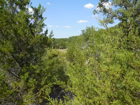 tbd E Loop 254, Ranger, TX 76470 photo 18