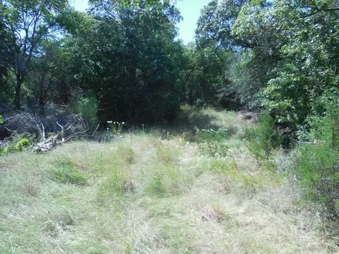 tbd E Loop 254, Ranger, TX 76470 photo 13