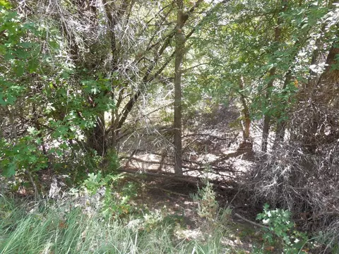 tbd E Loop 254, Ranger, TX 76470 photo 12