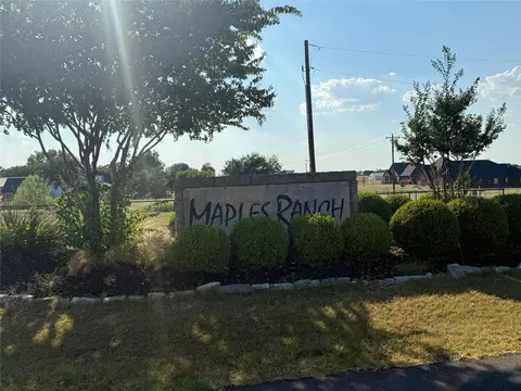0123 Rene Ln, Gunter, TX 75058