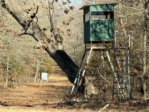 3055 Fm 194, Blossom, TX 75416