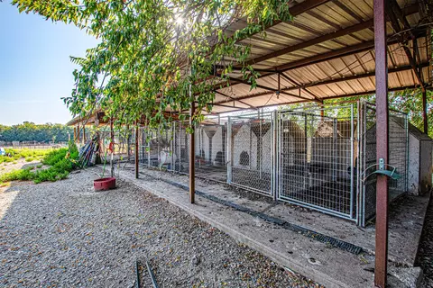 5271 N Us Highway 69, Celeste, TX 75423 photo 9
