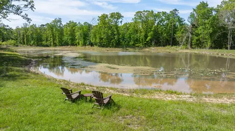 View/Area - 8324 Fm 44 E, Simms, TX 75574 photo 1 of 5