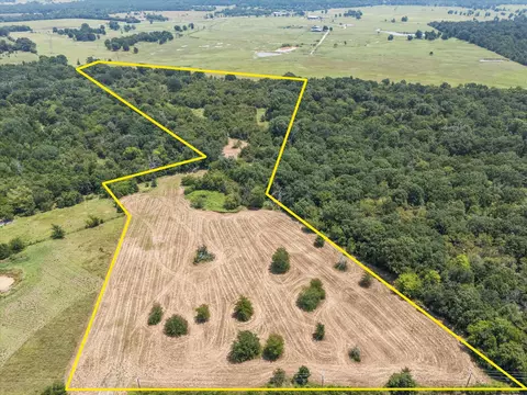 883 Fm 1653, Ben Wheeler, TX 75754