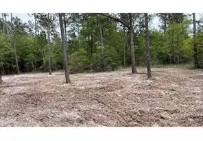 000 Langham Rd, Kountze, TX 77625