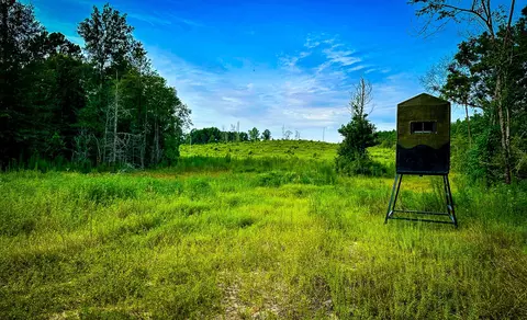 0000 Segno Fire Ln, Livingston, TX 77351