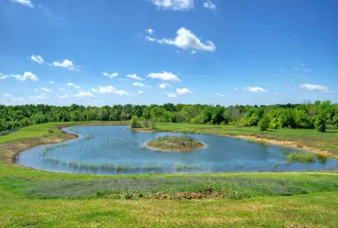 4201 County Road 463, Elgin, TX 78621 photo 27