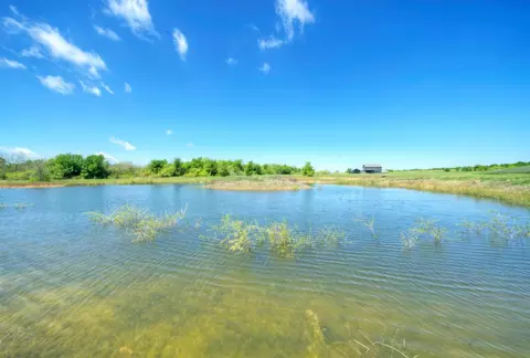 4201 County Road 463, Elgin, TX 78621 photo 32
