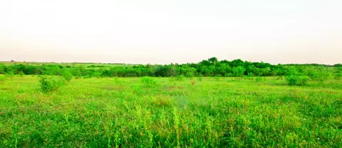 tbd Cartwright Rd, Avalon, TX 76623 photo 2