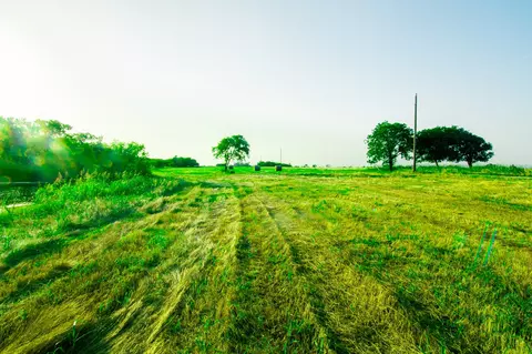 tbd Cartwright Rd, Avalon, TX 76623 photo 4