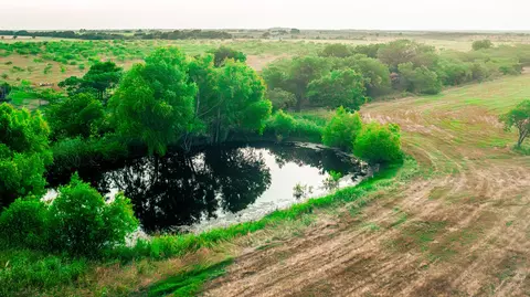 tbd Cartwright Rd, Avalon, TX 76623 photo 3